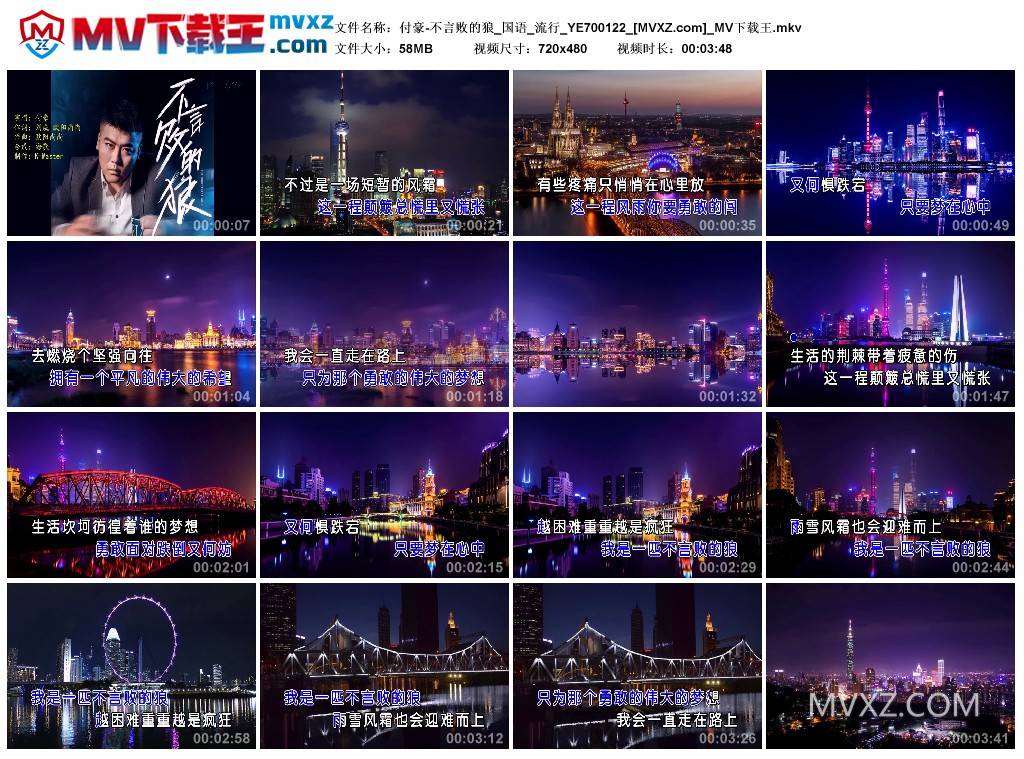 付豪-不言败的狼_国语_流行_YE700122